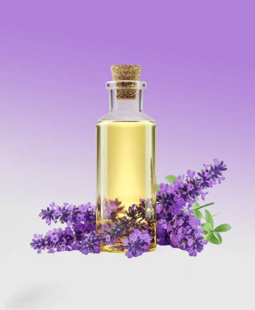 Lavender Oil
